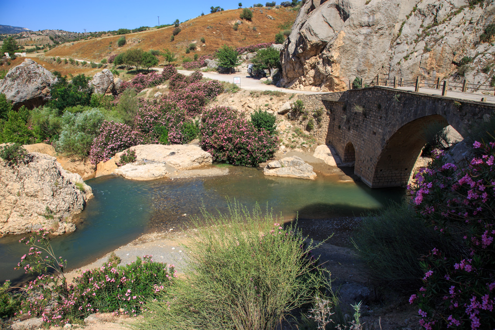 Seljuk Bridge